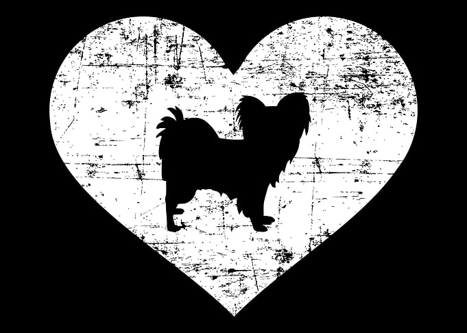 Papillon