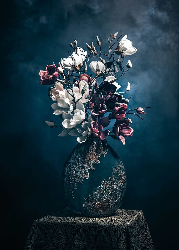 Magnolia Stillife
