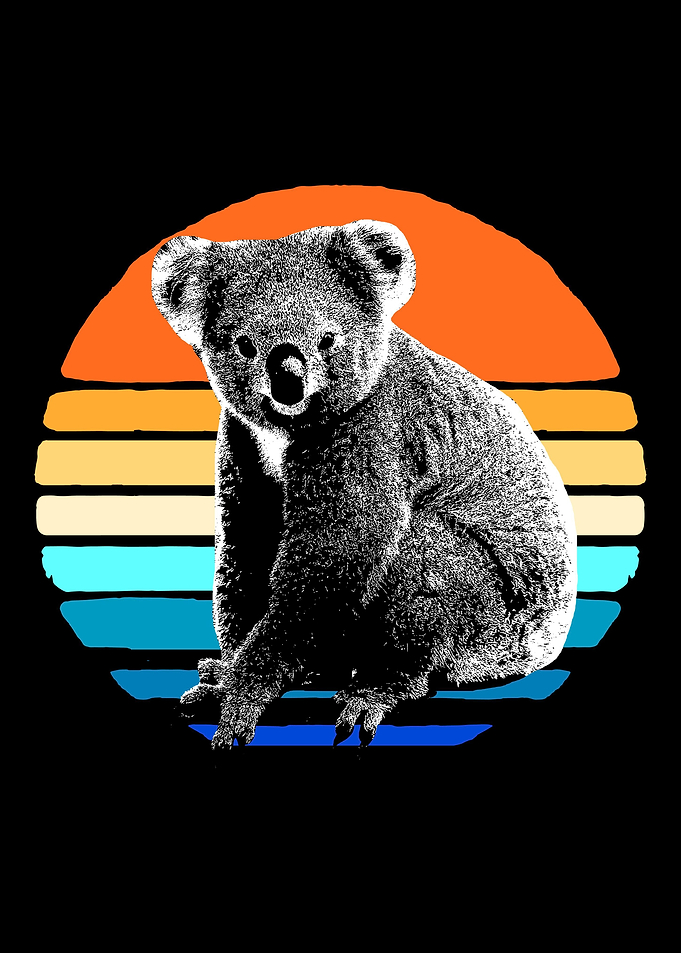 Koala Retro