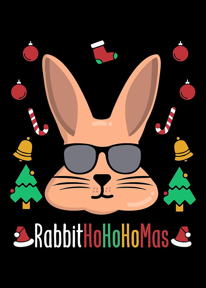 Christmas Animal Rabbit
