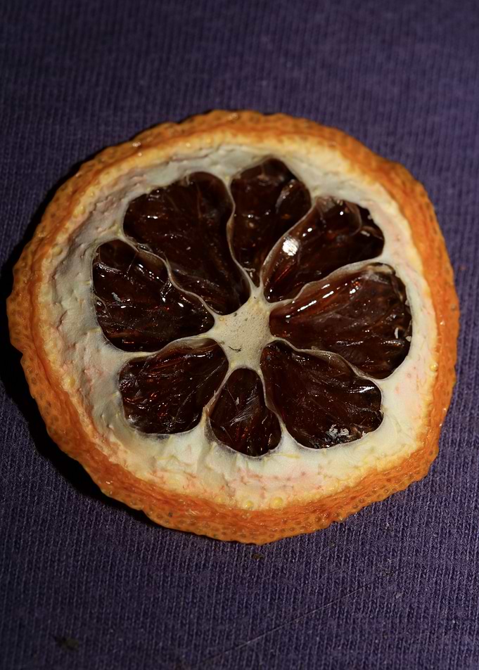 Dried lemon slice macro