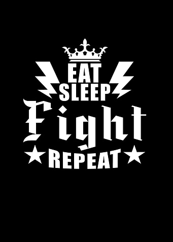 Mixed Martial Arts MMA