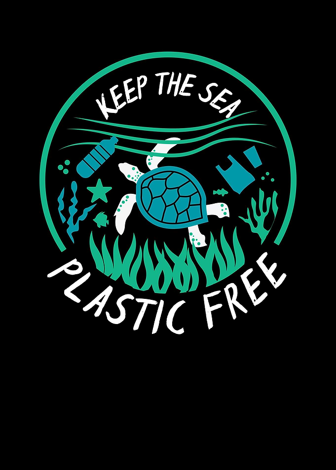 Clean Oceans Turtle Gift