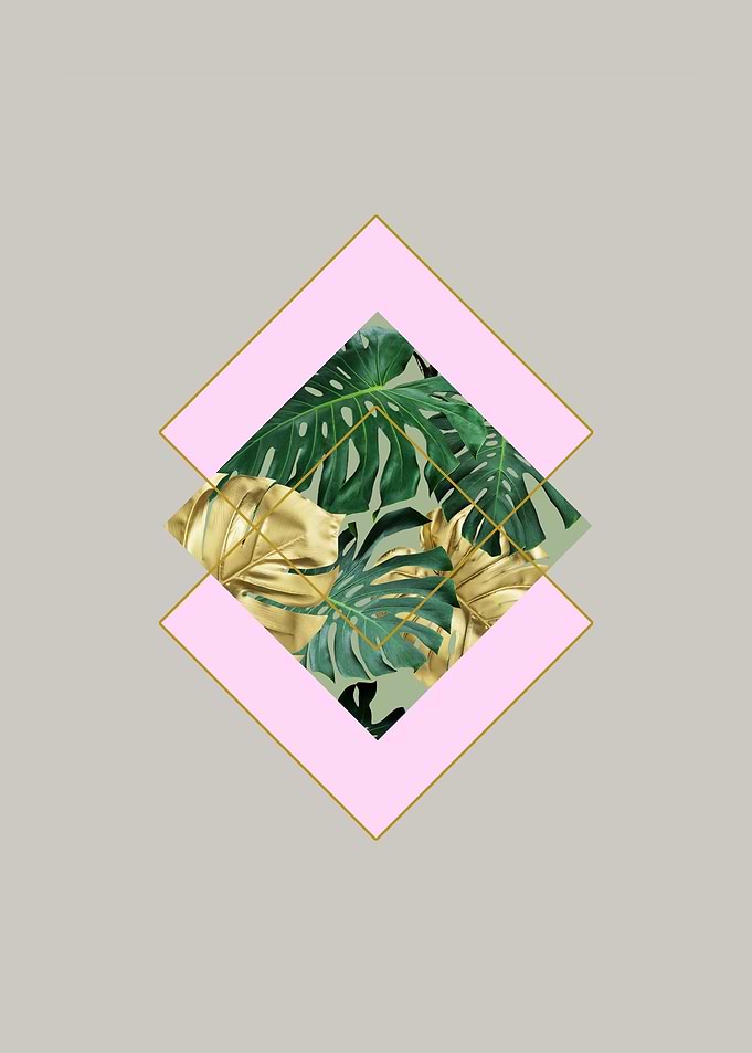 gray Monstera leaves