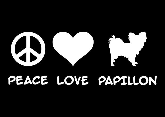Papillon
