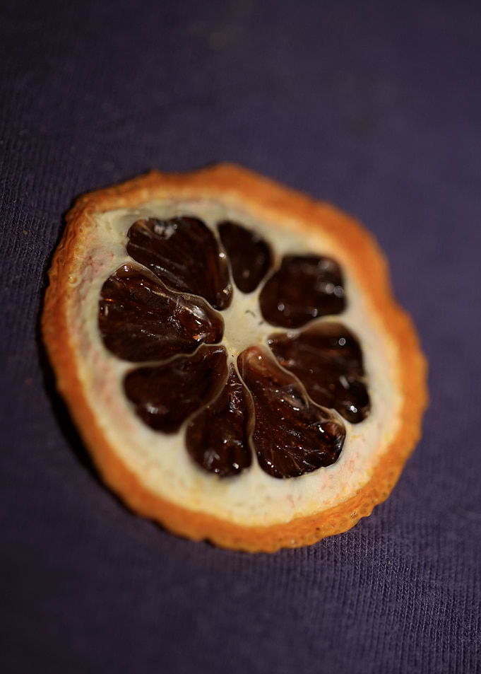 Dried lemon slice macro