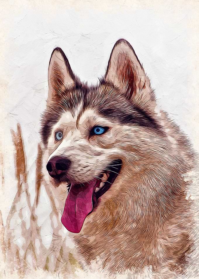 Huskey