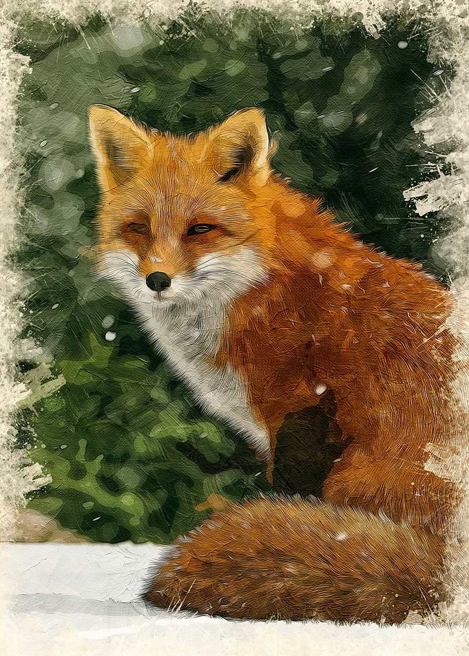 Fox