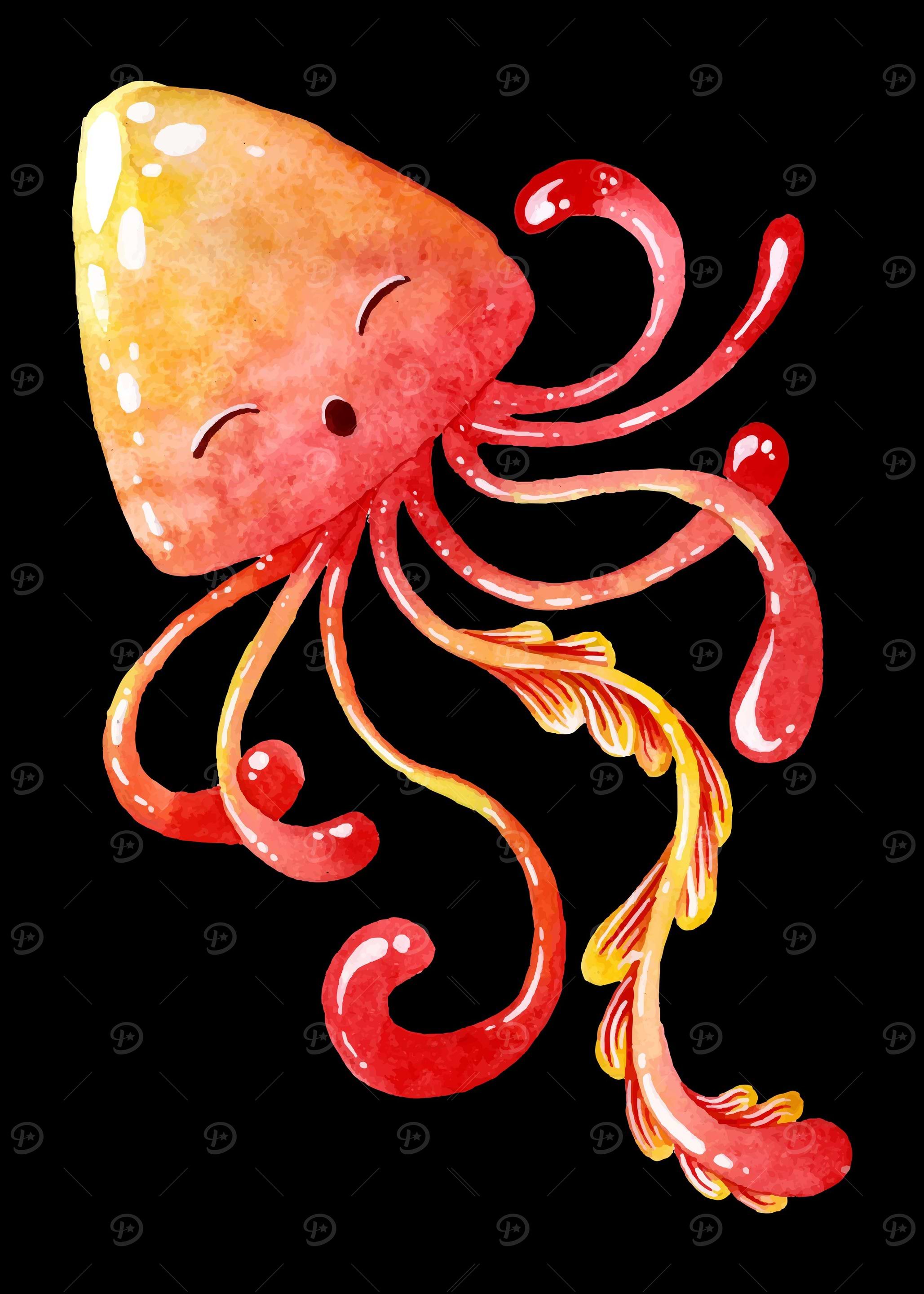 Jellyfish