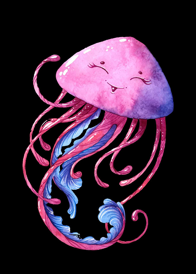 Jellyfish
