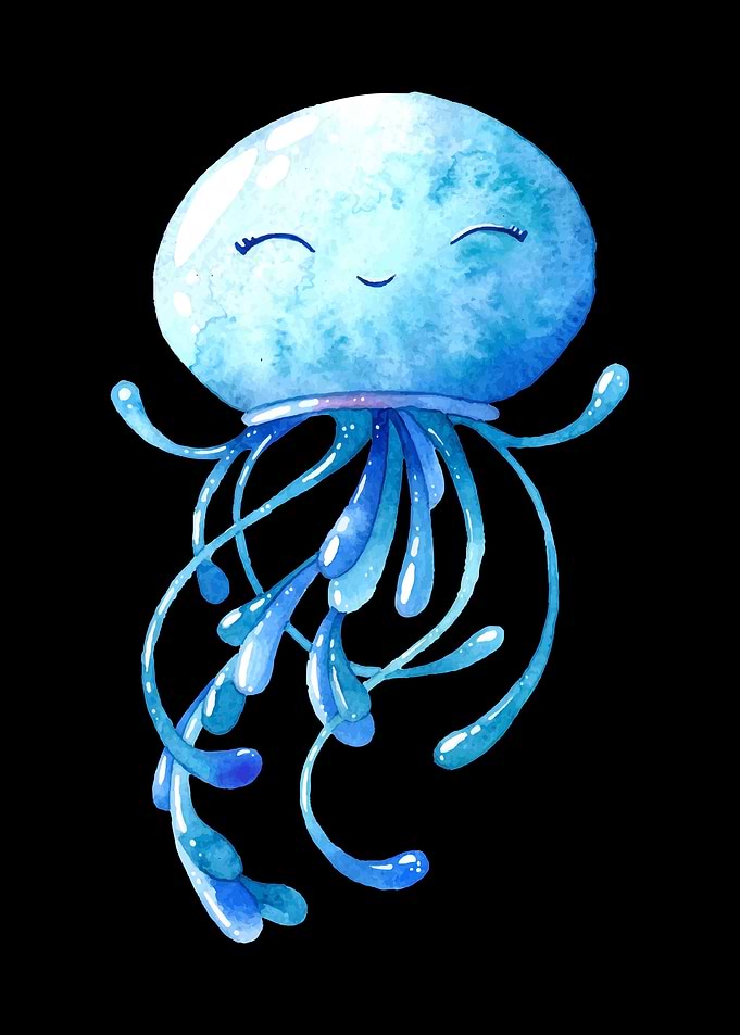 Jellyfish