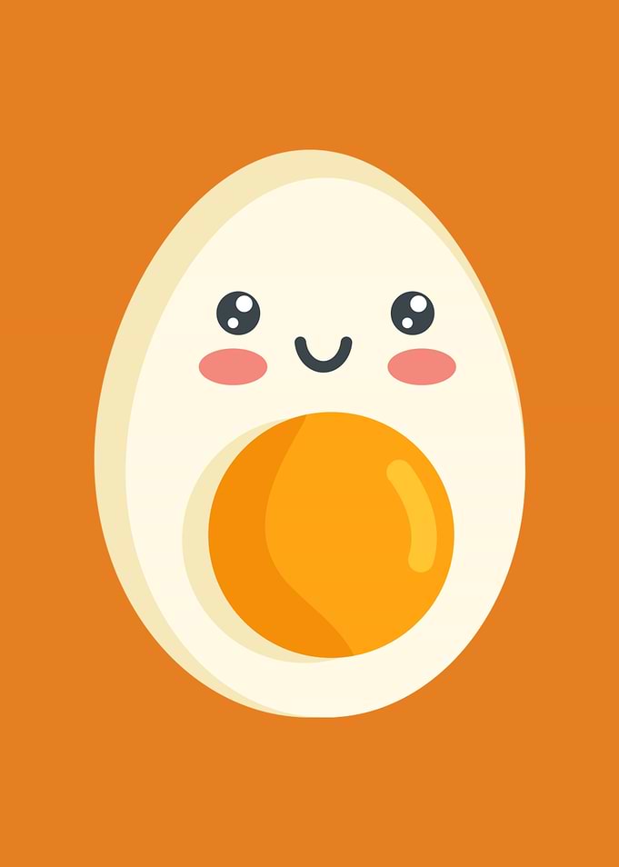 Cute Kawaii Omelet