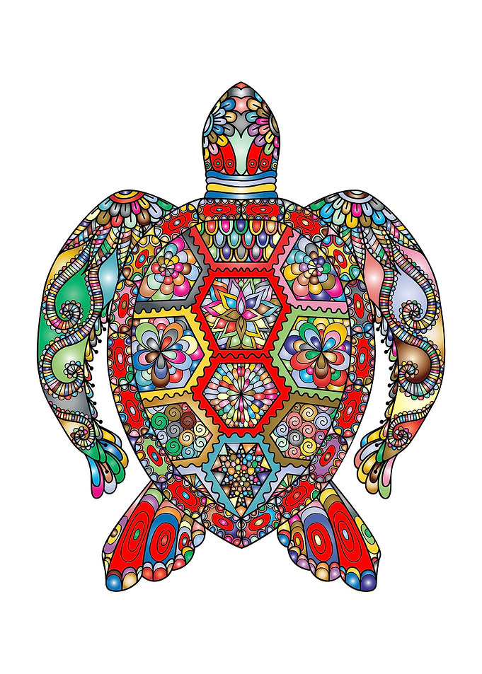 Abstract turtle