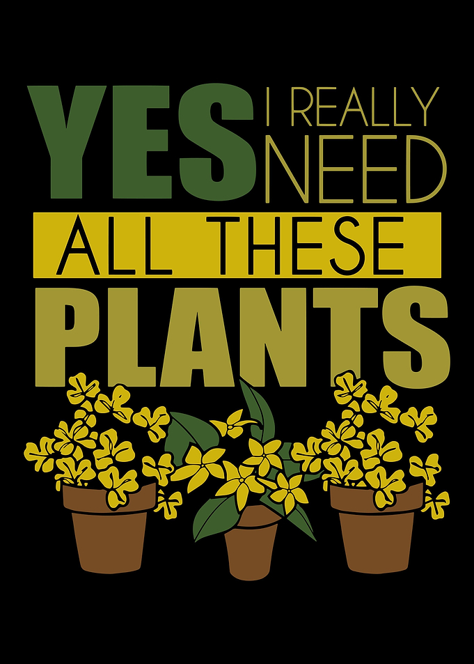 Plant Plants Farmer Garden