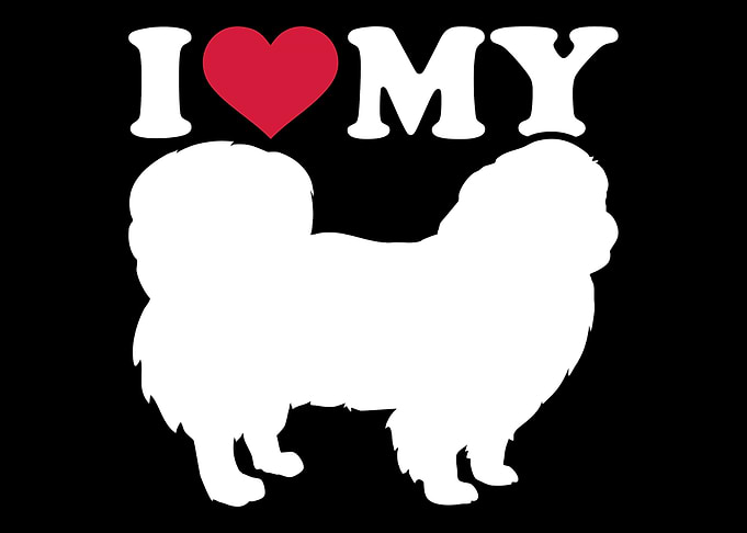 Pekingese