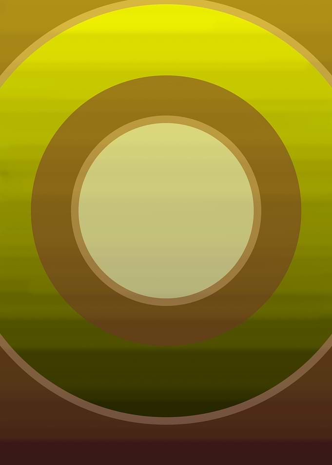 Xylem