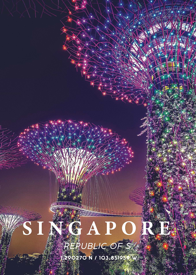 Singapore Coordinate Art