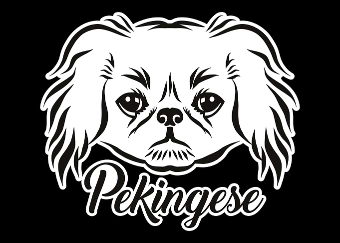 Pekingese