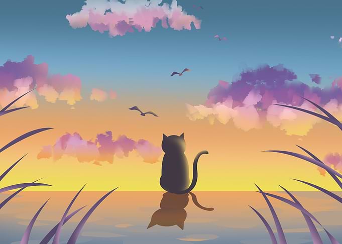Black Cat by nature