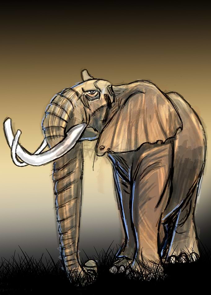 The Elephant