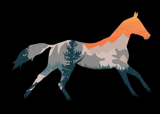 Equestrian gift