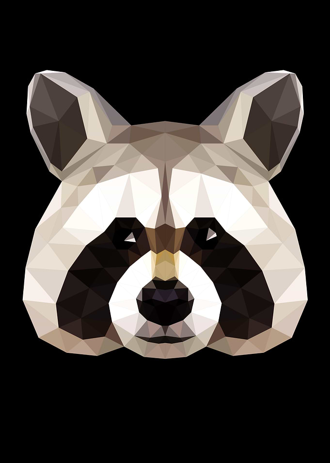 Raccoon Polygon Head