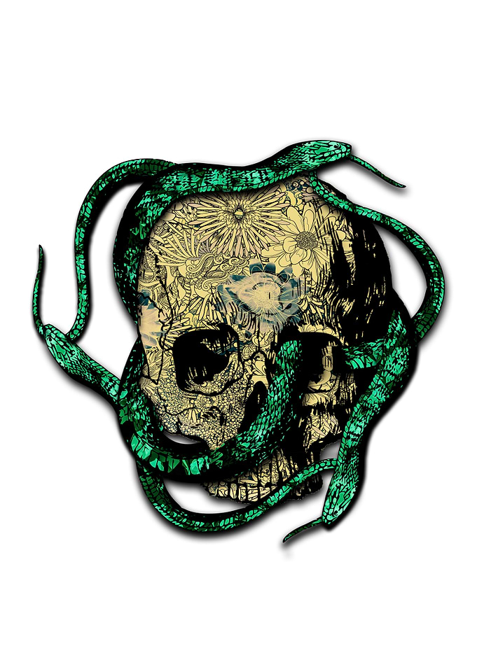 Snakes on the head