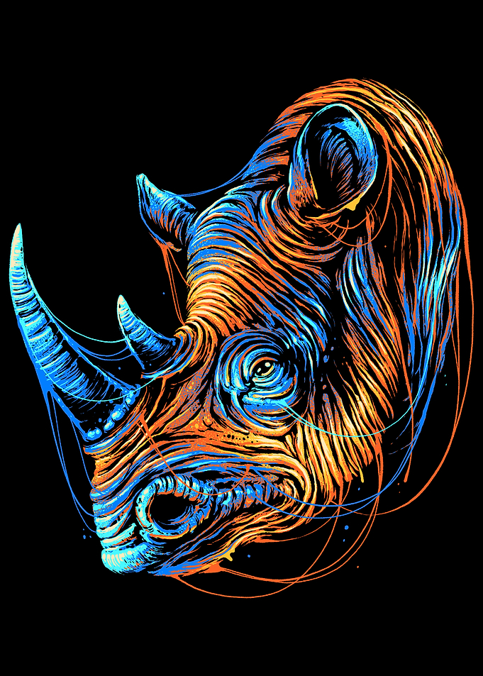 Colorful Rhino