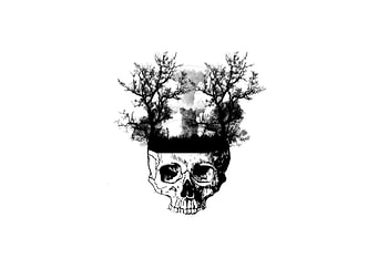 Latest drop