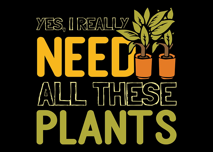 Plant Plants Farmer Garden