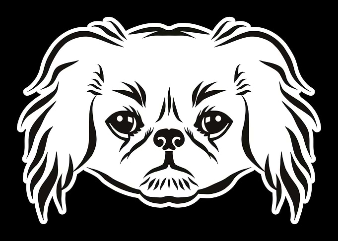 Pekingese