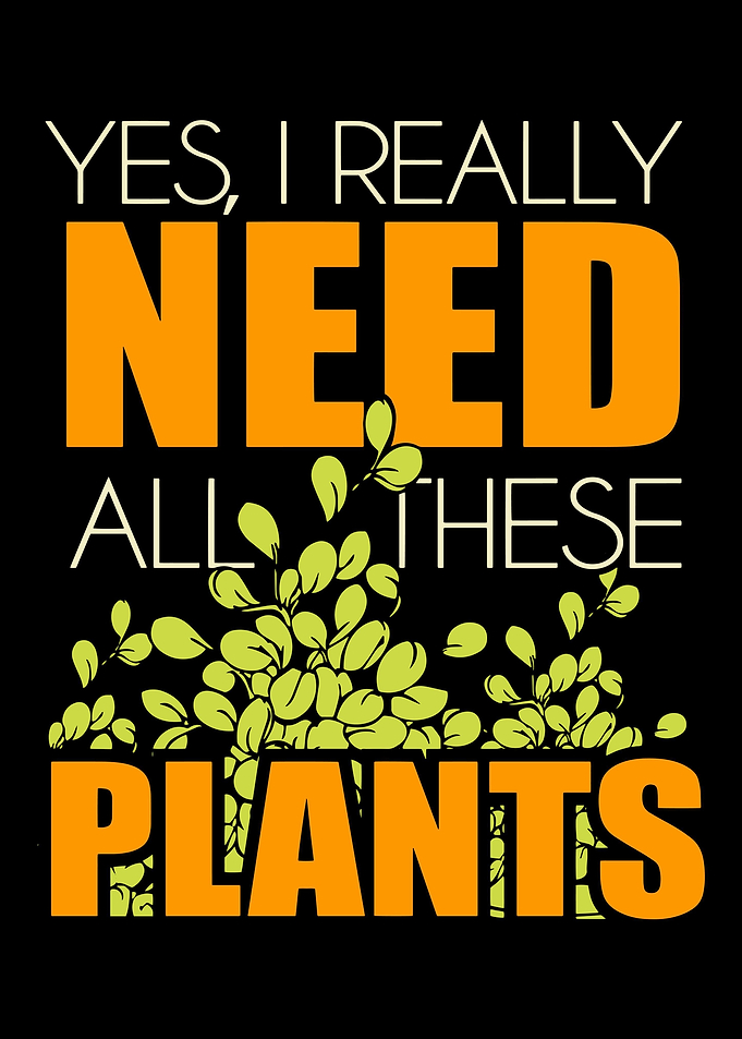 Plant Plants Farmer Garden
