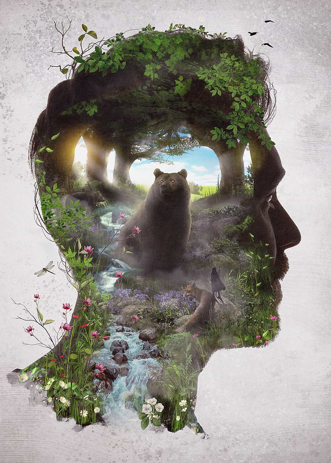 Meeting the Bear King