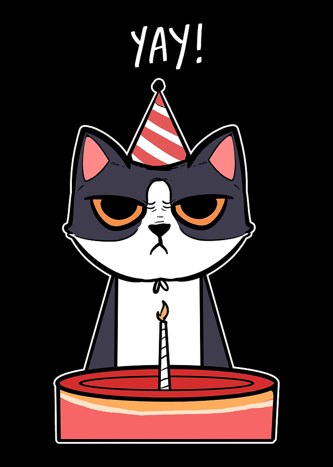 Yay Mad Birthday Celebrant
