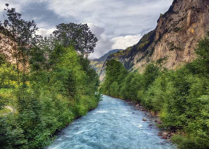 River Mountains Forest