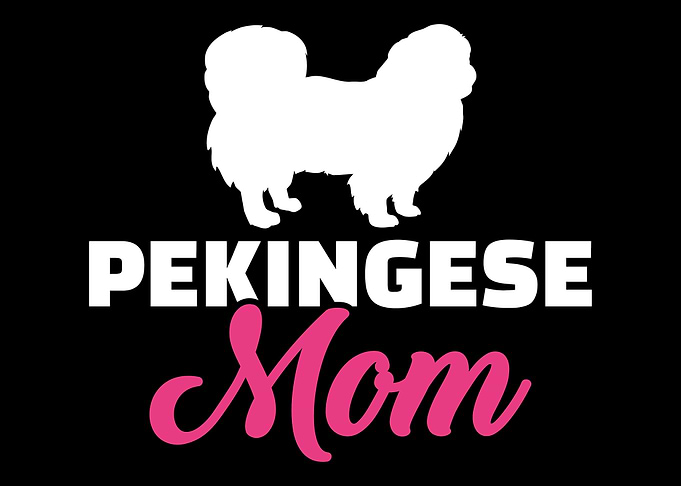 Pekingese