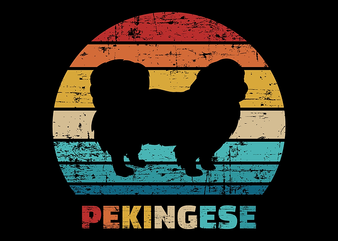Pekingese
