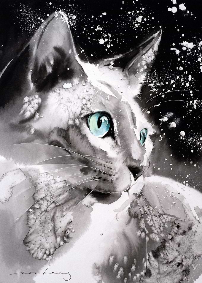 Cool Cat