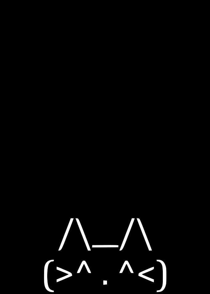 Keyboard Cat