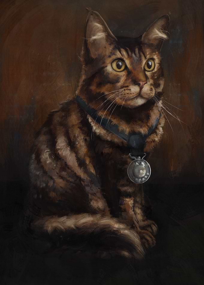 Majestic Maine Coon Cat