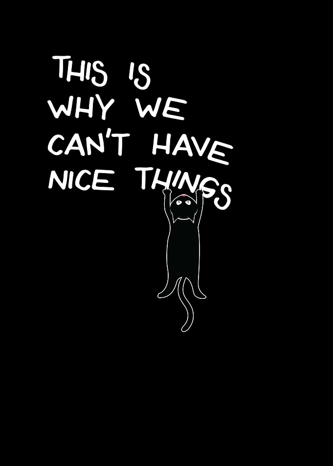 Funny Black Cat Saying