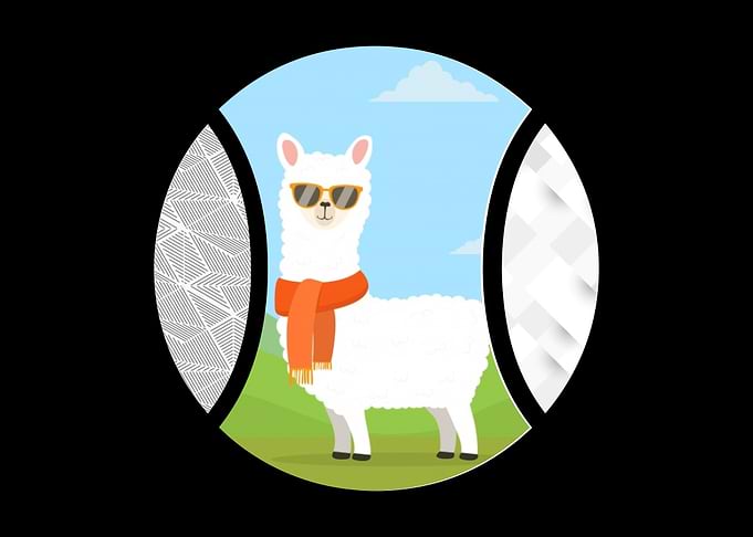 Baseball Llama Bat And B