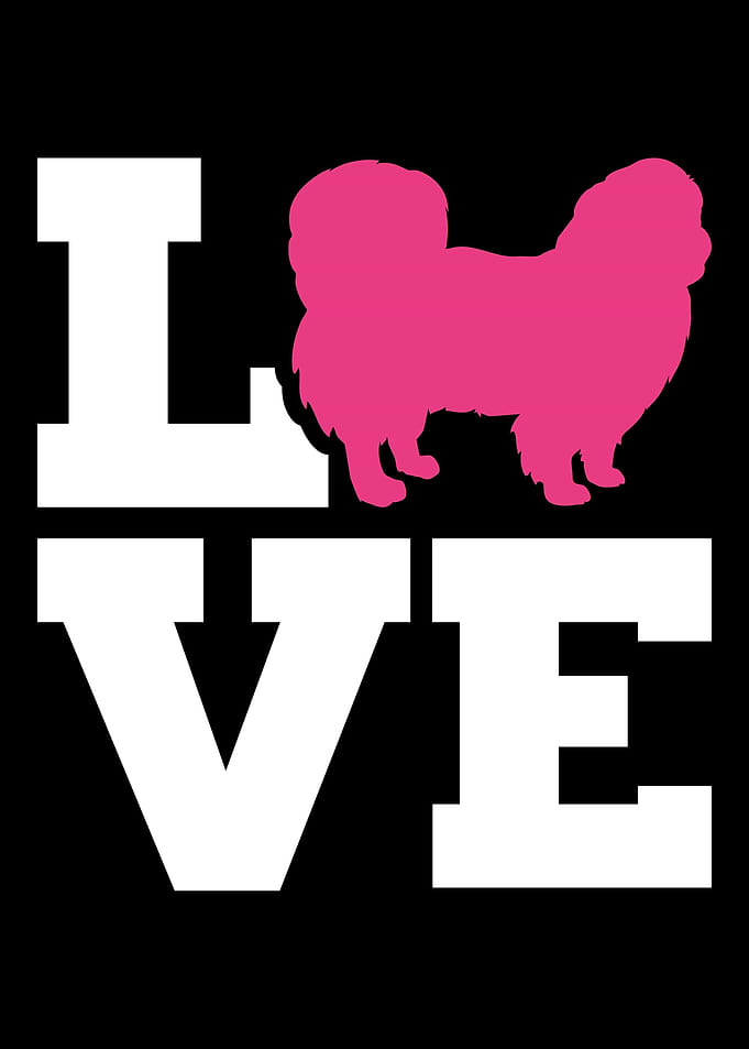 Pekingese