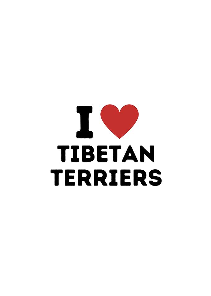I Love Tibetan Terriers