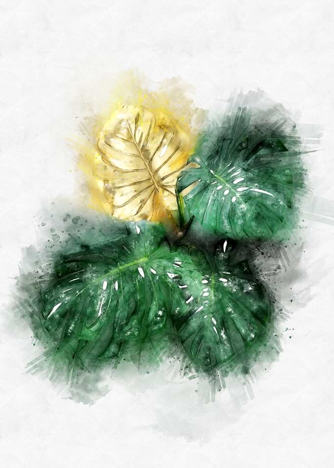 Monstera leaves