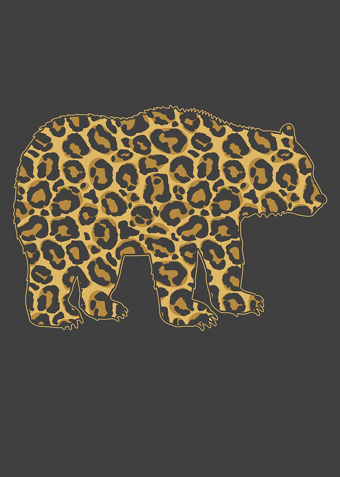 Bear With Leopard Pattern