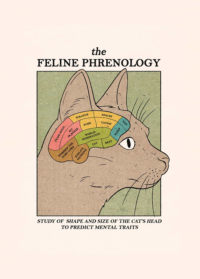 The Feline Phrenology
