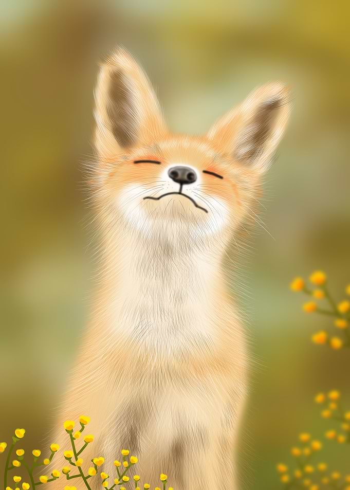 Little Fox Animal dreaming