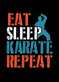 Eat sleep Karate repeat