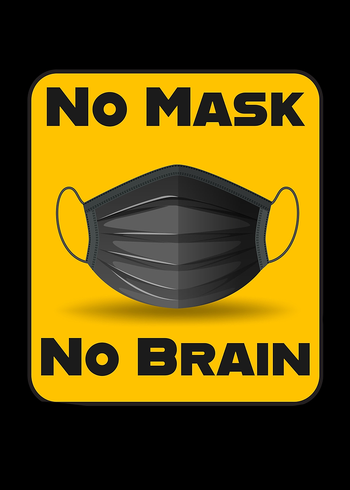 Pro Face Mask Protection